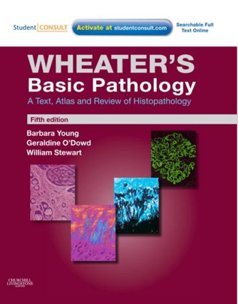 Cover image for book Wheater's Basic Histology