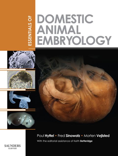 Cover image for book Essentials of Domestic Animal Embryology