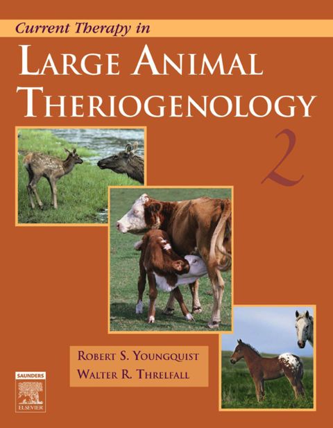 Cover image for book Current Therapy in Large Animal Theriogenology