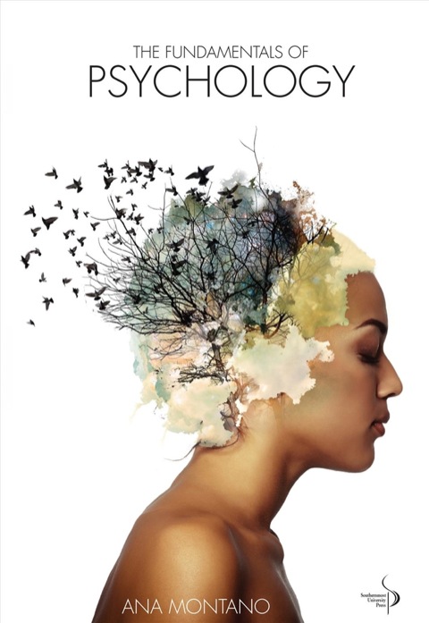 Cover image for book The Fundamentals of Psychology
