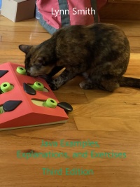 Java Examples, Explanations, and Exercises Third Edition 3rd edition ...