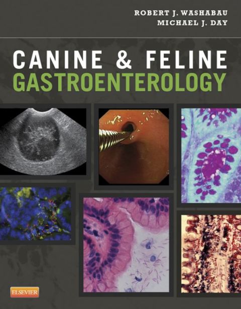 Cover image for book Canine & Feline Gastroenterology