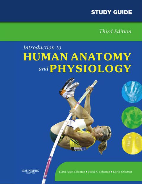 Cover image for book Study Guide for Introduction to Human Anatomy and Physiology