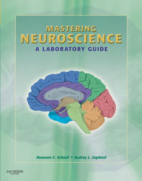 Cover image for book Mastering Neuroscience