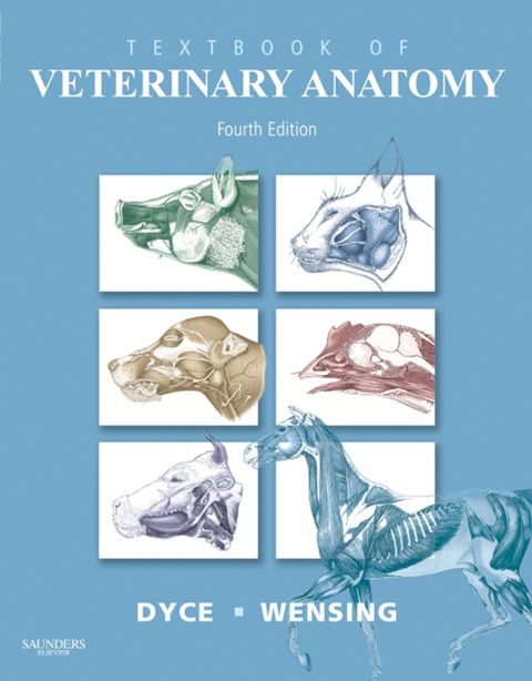 Cover image for book Textbook of Veterinary Anatomy