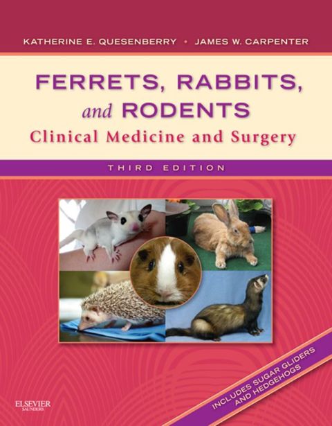 Cover image for book Ferrets, Rabbits and Rodents