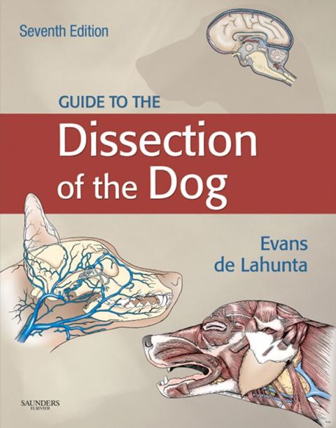 Cover image for book Guide to the Dissection of the Dog