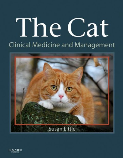 Cover image for book The Cat