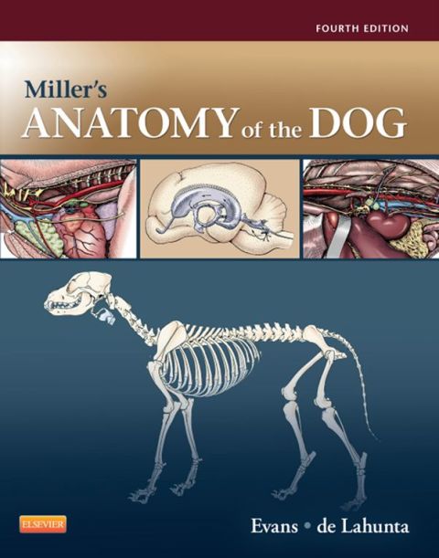 Cover image for book Miller's Anatomy of the Dog
