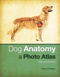 Cover image: Dog Anatomy – A Photo Altas 2nd edition 9781599847061