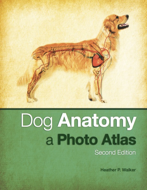 Cover image for book Dog Anatomy – A Photo Altas