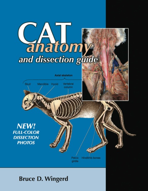 Cover image for book Cat Anatomy & Dissection Guide with Photos