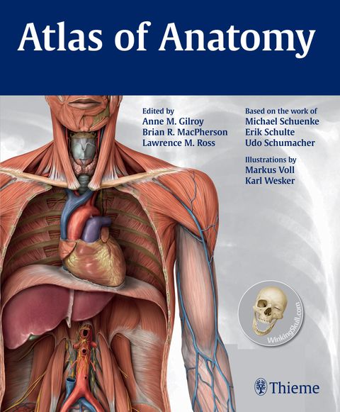 Cover image for book Atlas of Anatomy