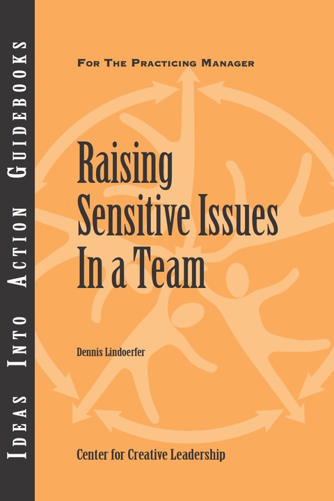 Cover image for book Raising Sensitive Issues in a Team