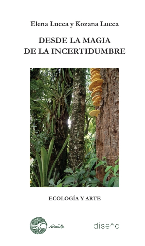 Cover image for book DESDE LA MAGIA DE LA INCERTIDUMBRE