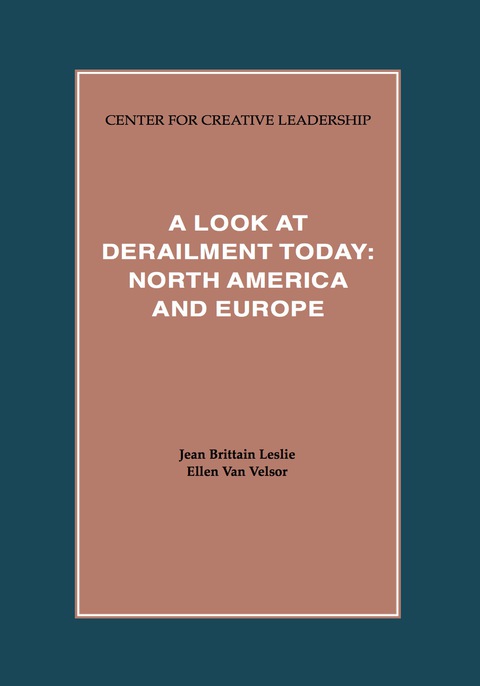 Cover image for book A Look at Derailment Today: North America and Europe