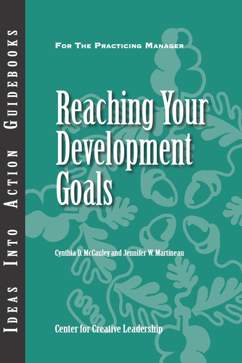 Cover image for book Reaching Your Development Goals