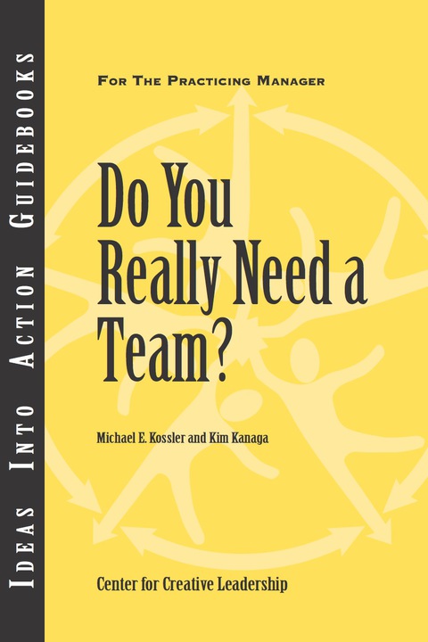Cover image for book Do You Really Need a Team?