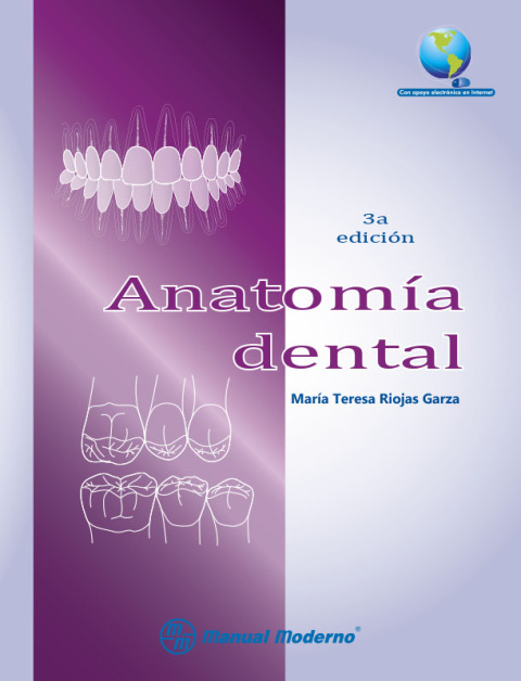Anatomía dental