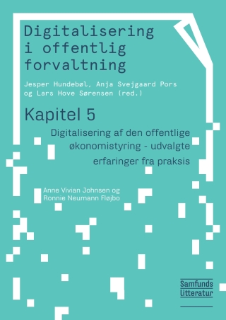 Kapitel 5: Digitalisering af den offentlige økonomistyring - udvalgte erfaringer fra praksis