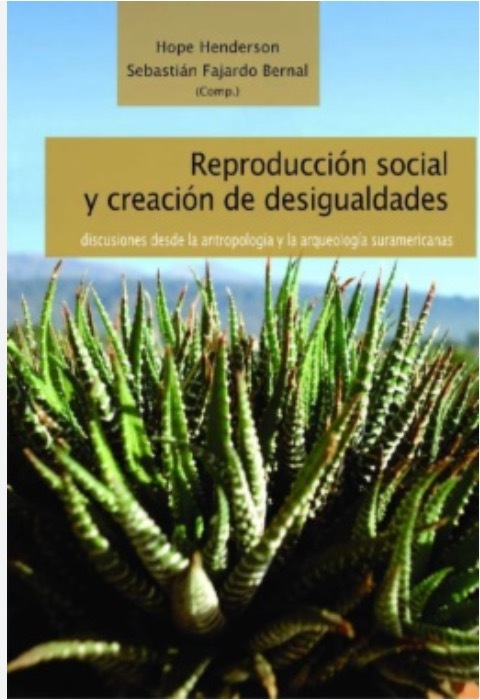 Cover image for book REPRODUCCIÓN SOCIAL Y CREACIÓN DE DESIGUALDADES