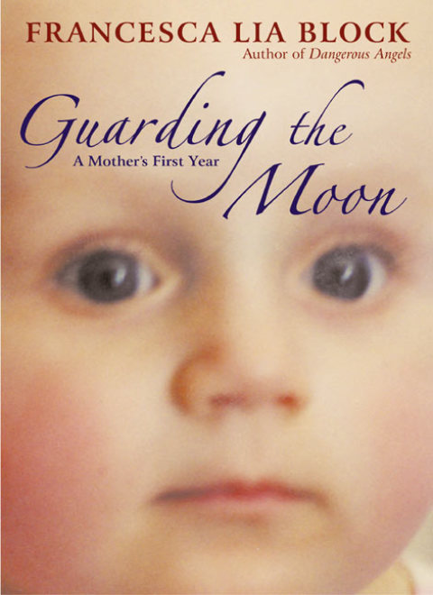 Cover image for book Guarding the Moon