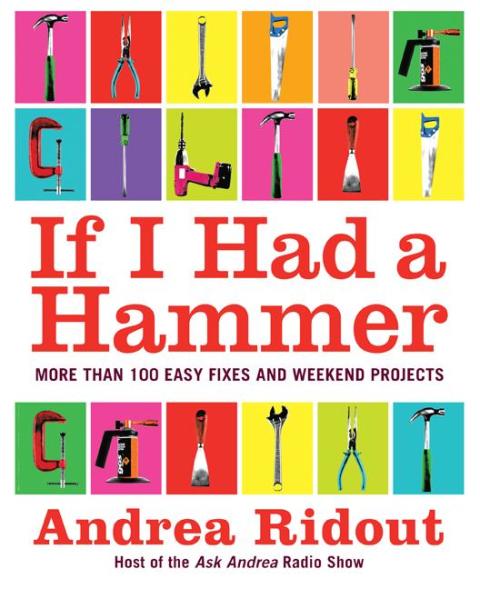 Cover image for book If I Had a Hammer