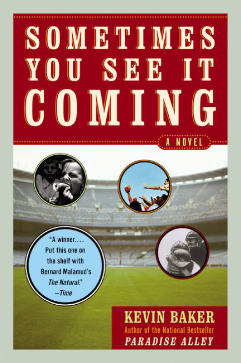 Cover image for book Sometimes You See It Coming