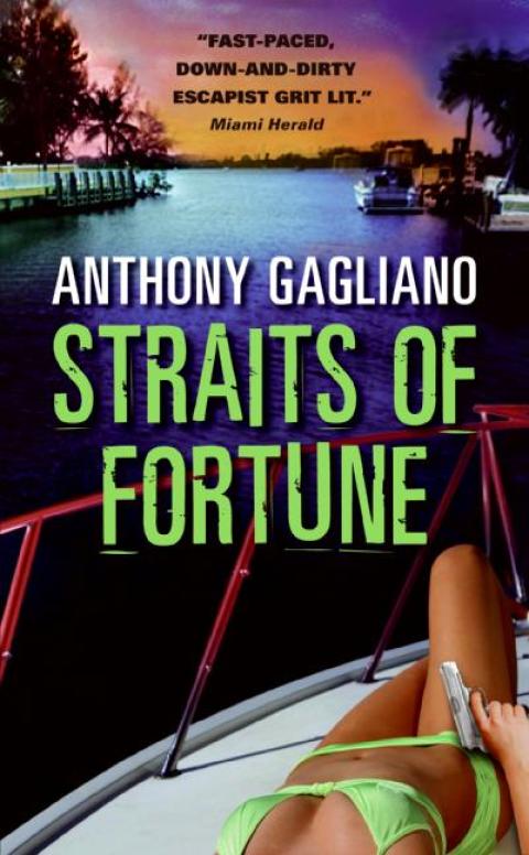 Cover image for book Straits of Fortune