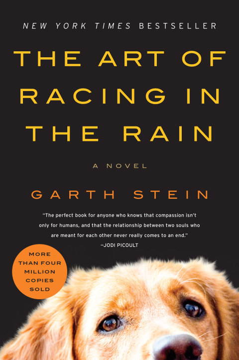Cover image for book The Art of Racing in the Rain