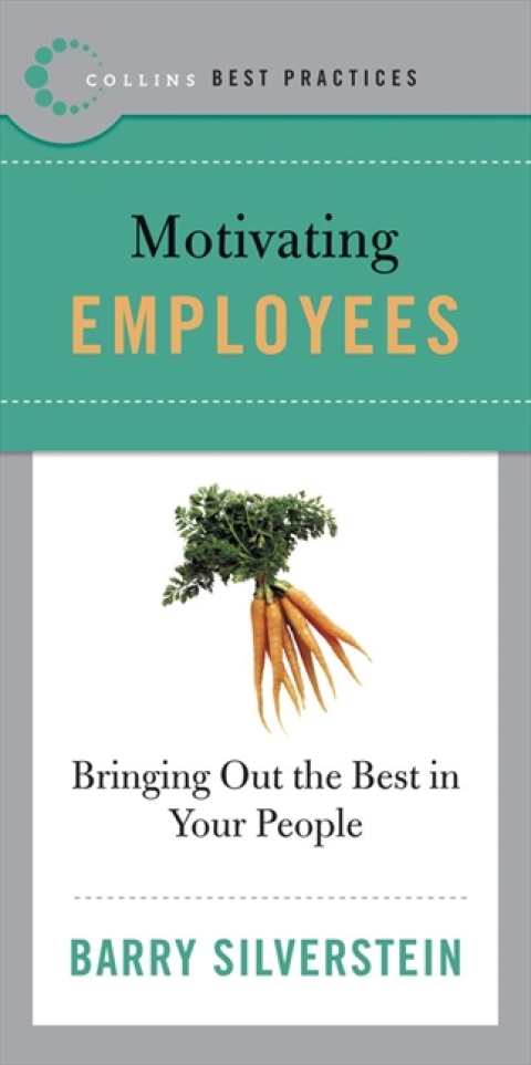 Cover image for book Best Practices: Motivating Employees