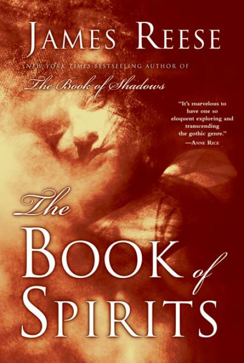 Cover image for book The Book of Spirits