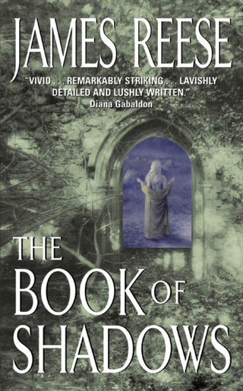 Cover image for book The Book of Shadows