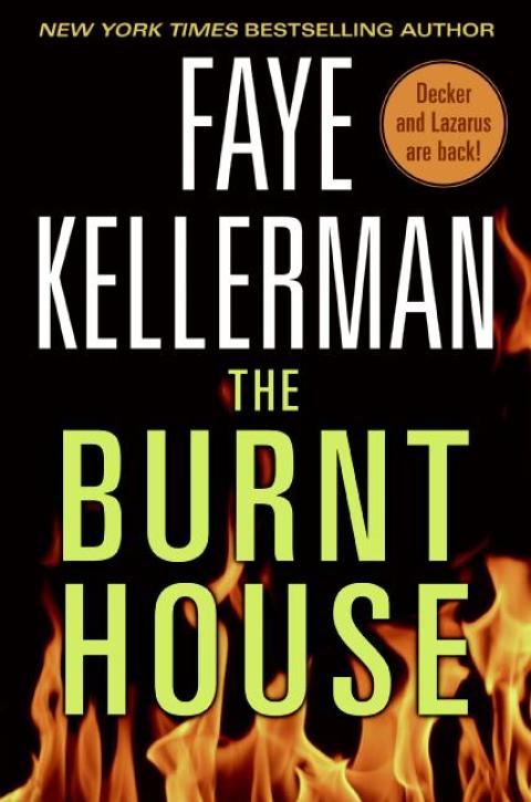 Cover image for book The Burnt House