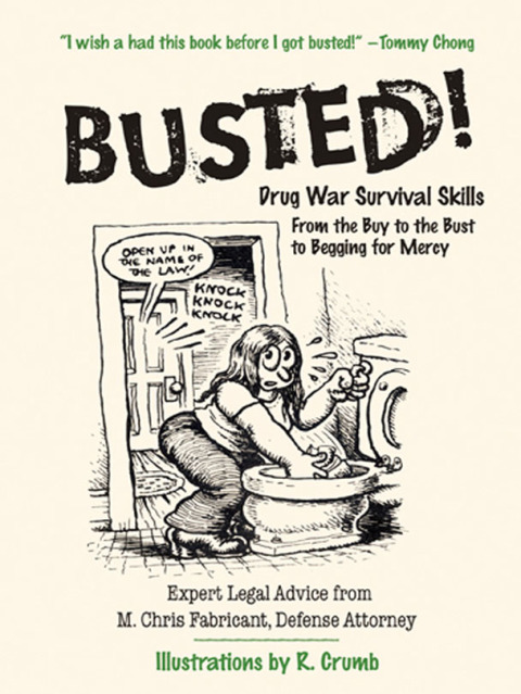 Cover image for book Busted!
