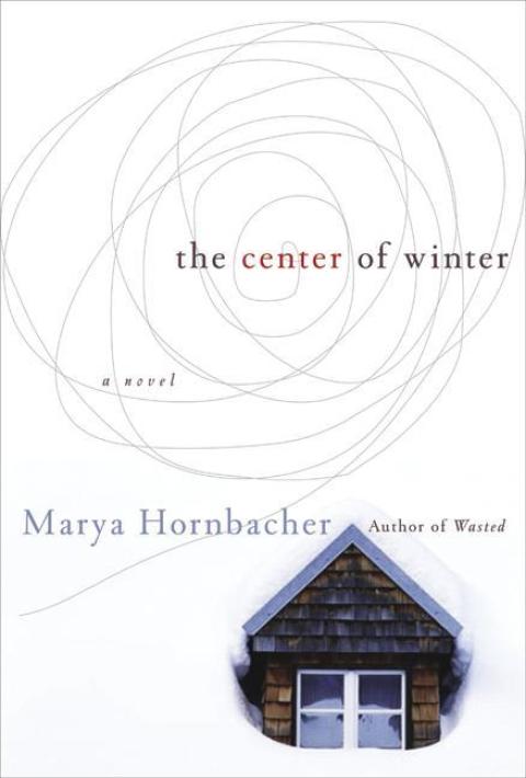 Cover image for book The Center of Winter