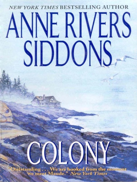 Cover image for book Colony
