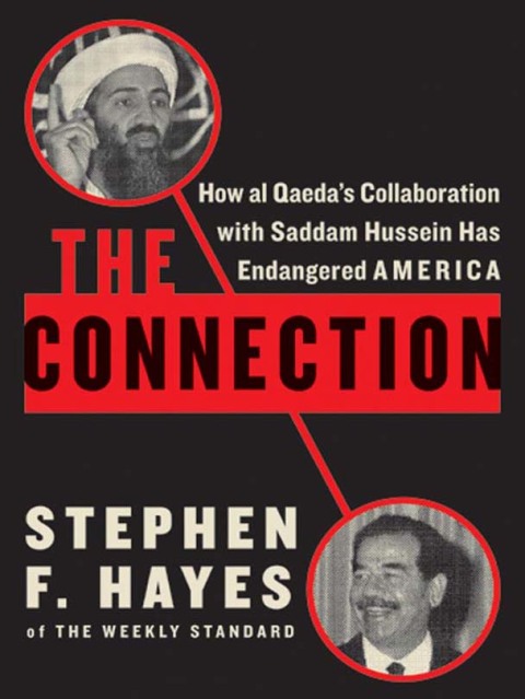 Cover image for book The Connection
