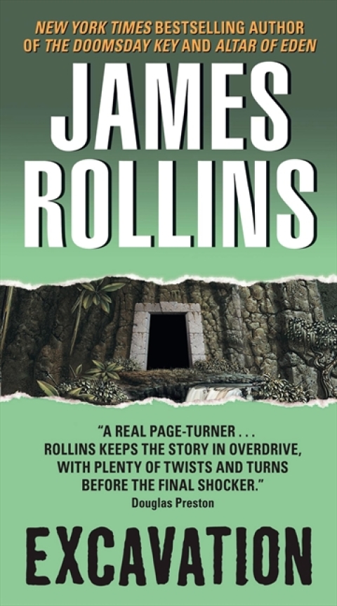 Cover image for book Excavation