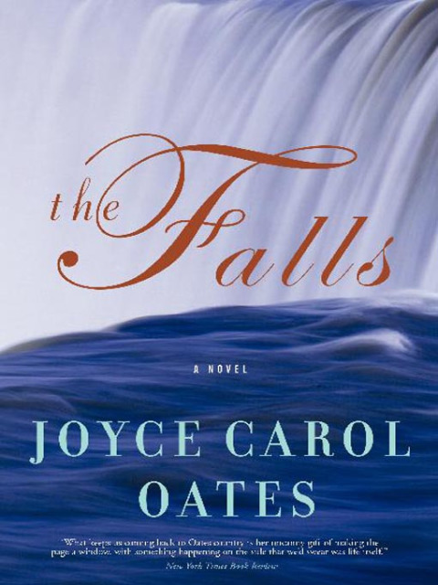 Cover image for book The Falls