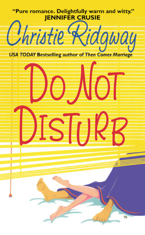 Cover image for book Do Not Disturb