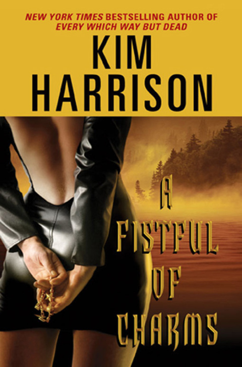 Cover image for book Fistful of Charms, A