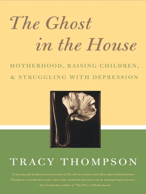 Cover image for book The Ghost in the House