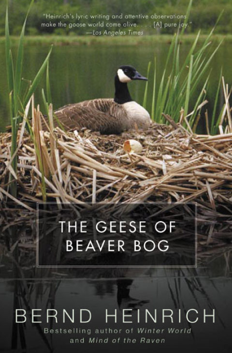 Cover image for book The Geese of Beaver Bog