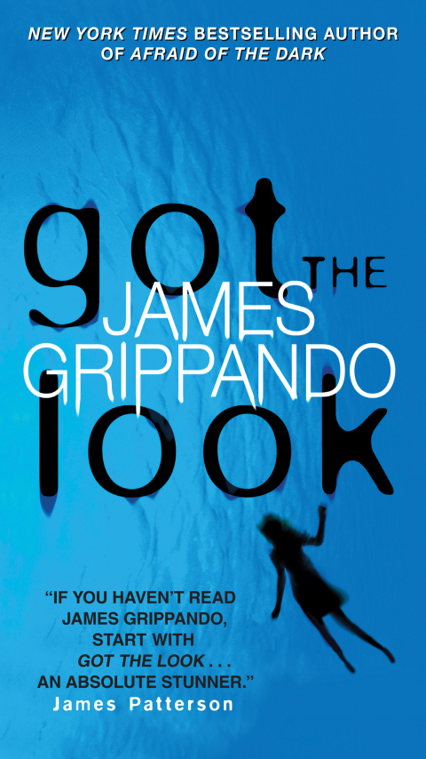 Cover image for book Got the Look