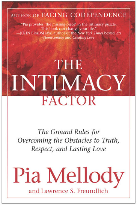 Cover image for book The Intimacy Factor