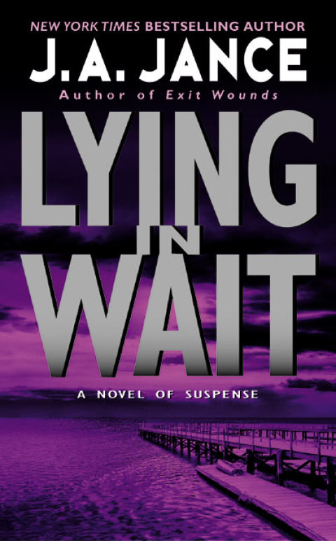 Cover image for book Lying in Wait
