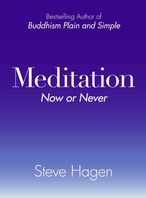Cover image for book Meditation Now or Never