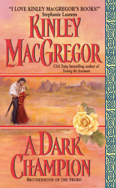 Cover image for book A Dark Champion