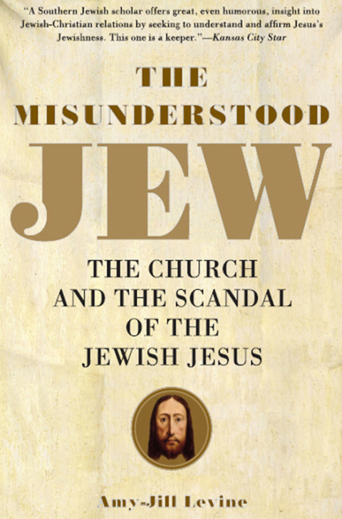 Cover image for book The Misunderstood Jew